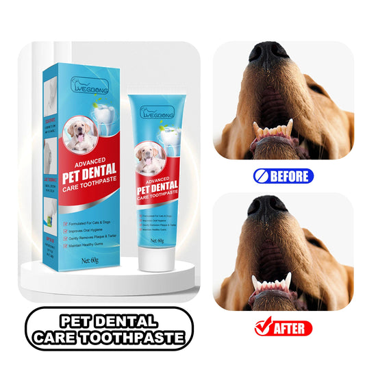 Dog Cat Toothpaste Kit