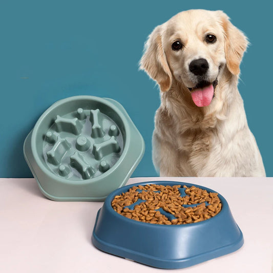 Slow Feeder Dog Bowl