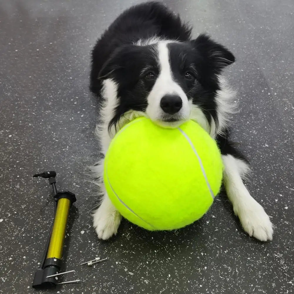 Giant Inflatable Tennis Ball for Dogs