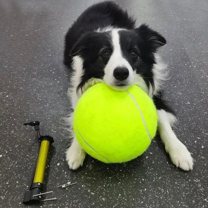 Giant Inflatable Tennis Ball for Dogs