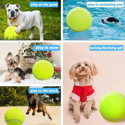Giant Inflatable Tennis Ball for Dogs