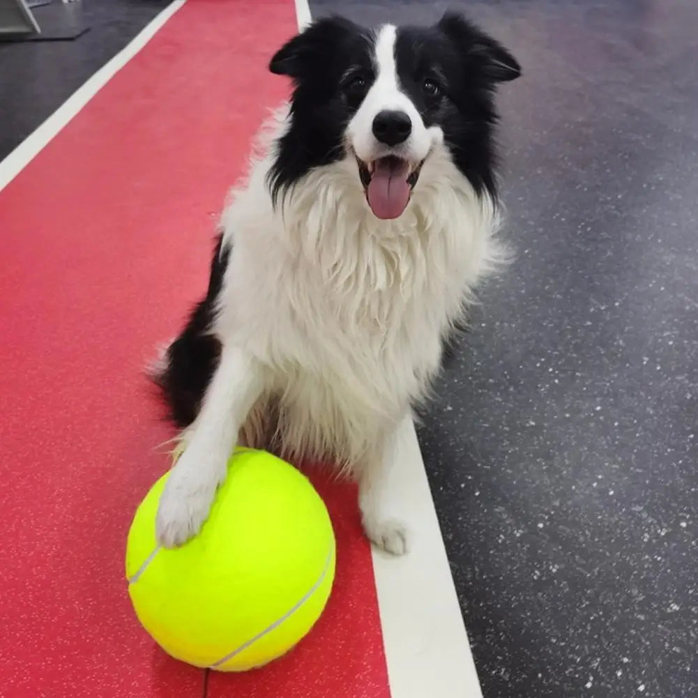 Giant Inflatable Tennis Ball for Dogs