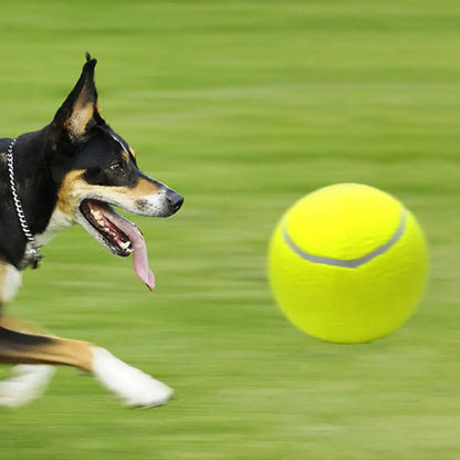 Giant Inflatable Tennis Ball for Dogs