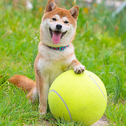 Giant Inflatable Tennis Ball for Dogs