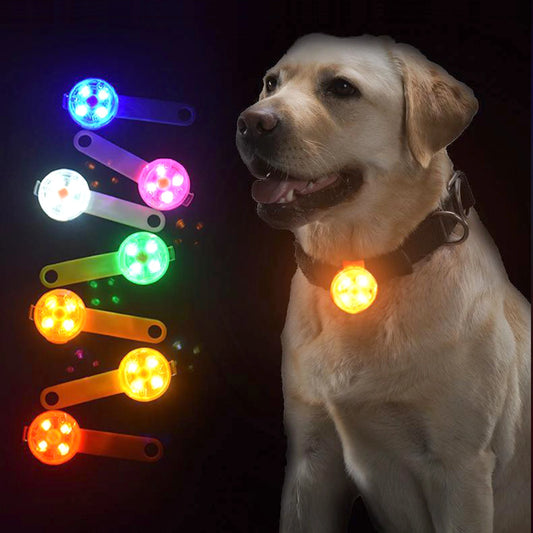 LED Dog Collar Light
